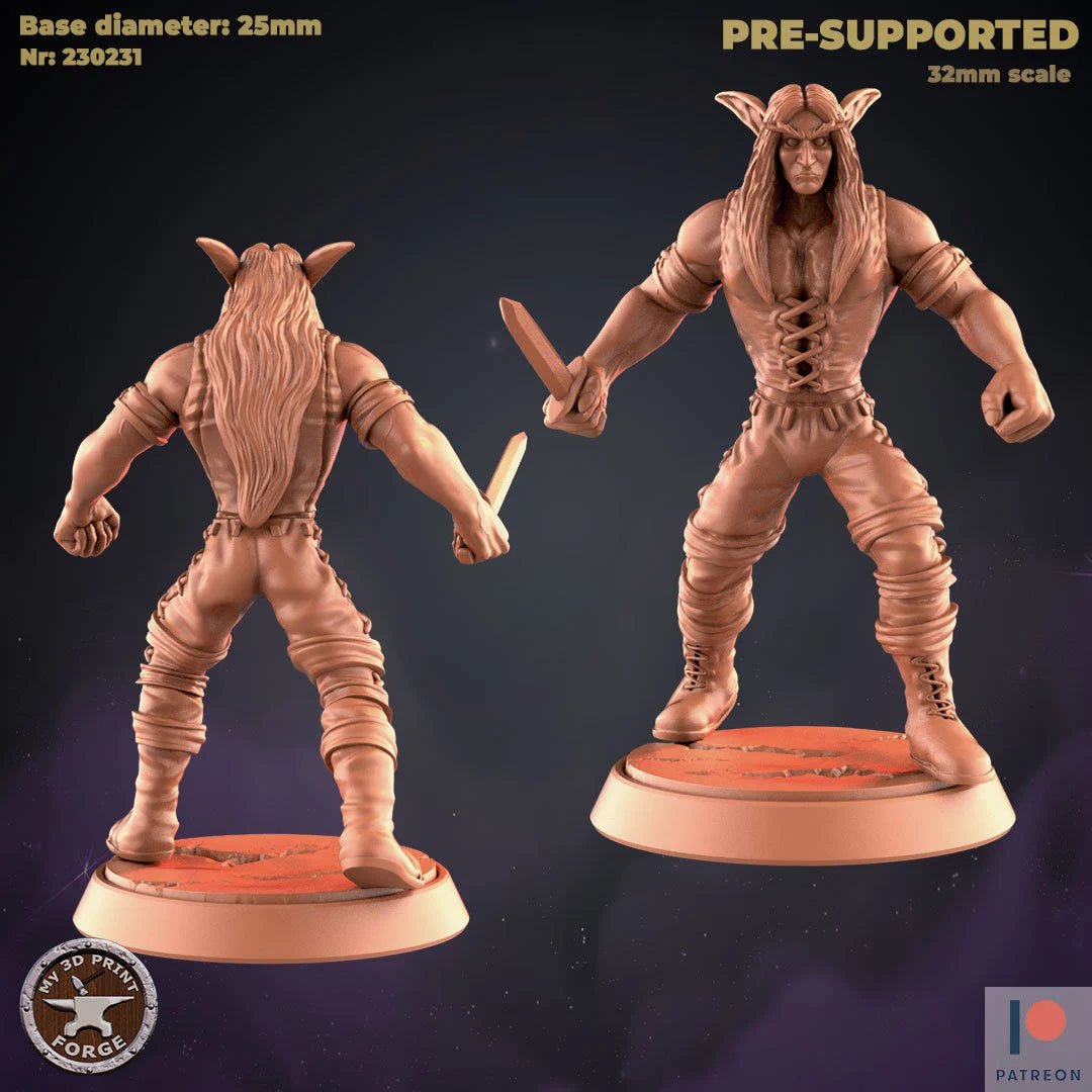 Male Rogue Elf Miniature | Set of 2 - Tabletop RPG & D&D miniature. Perfect for wargaming & collectors