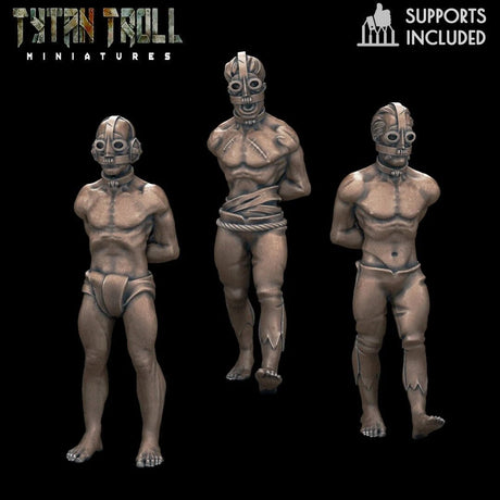 Masked Bundle Miniature | Set of 3 - Tabletop RPG & D&D miniature. Perfect for wargaming & collectors