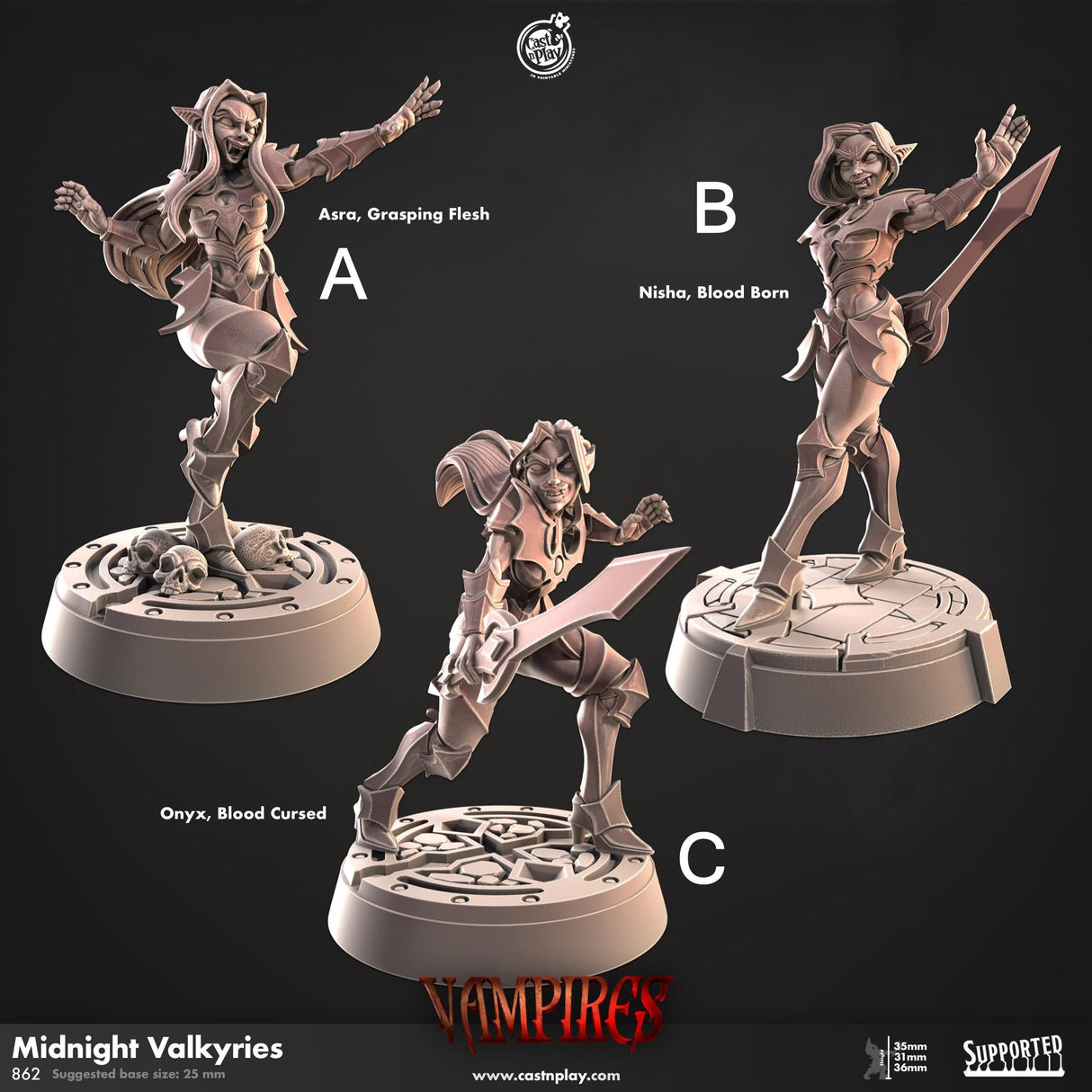Midnight Valkyries Miniature | A - Tabletop RPG & D&D miniature. Perfect for wargaming & collectors
