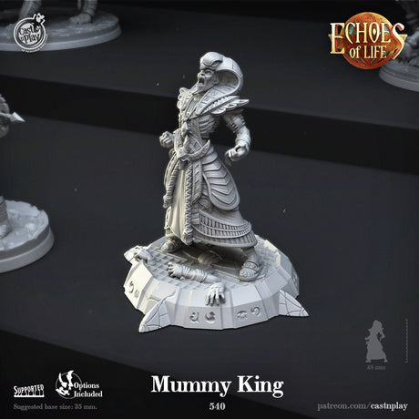 Mummy King Miniature | CP5.540 Pharaoh King - Tabletop RPG & D&D miniature. Perfect for wargaming & collectors