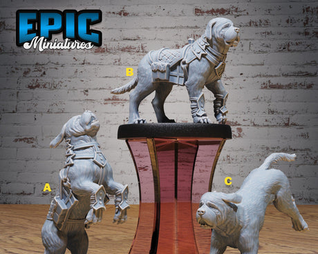 Muskteeret NPC Miniature | Set 8 (full set) - Tabletop RPG & D&D miniature. Perfect for wargaming & collectors