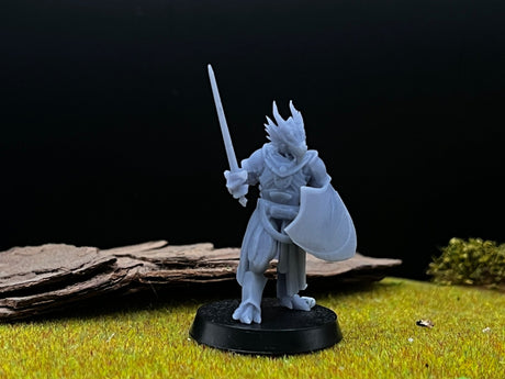 Northern Guards Miniature | Set of 10 - Tabletop RPG & D&D miniature. Perfect for wargaming & collectors