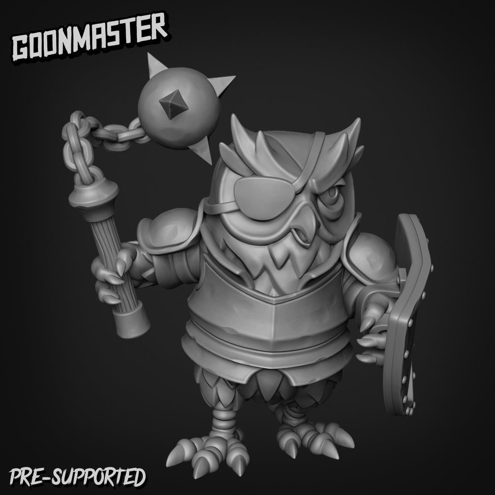 Owl Folk Fighter Paladin Wizard Miniature | B - Tabletop RPG & D&D miniature. Perfect for wargaming & collectors
