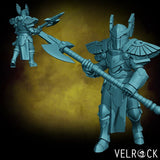 Paladins Miniature | F - Tabletop RPG & D&D miniature. Perfect for wargaming & collectors