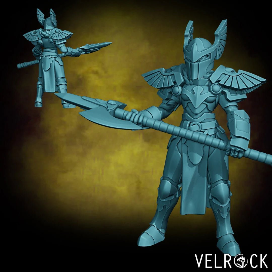 Paladins Miniature | C - Tabletop RPG & D&D miniature. Perfect for wargaming & collectors