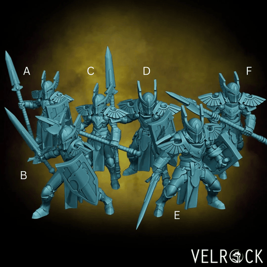 Paladins Miniature - Set of 6 - 28mm