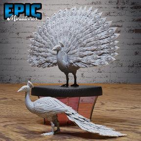 Peacock Miniature | Set of 2 - Tabletop RPG & D&D miniature. Perfect for wargaming & collectors
