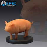 Pigs Miniature | A - Tabletop RPG & D&D miniature. Perfect for wargaming & collectors