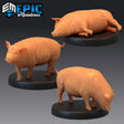 Pigs Miniature | Set of 3 - Tabletop RPG & D&D miniature. Perfect for wargaming & collectors