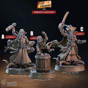 Pirate Captain Miniature | A - Tabletop RPG & D&D miniature. Perfect for wargaming & collectors