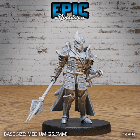 Platinum Paladin Miniature | A - Tabletop RPG & D&D miniature. Perfect for wargaming & collectors