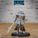 Platinum Paladin Miniature | A - Tabletop RPG & D&D miniature. Perfect for wargaming & collectors