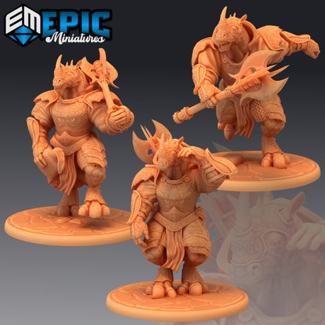 Rhino Champion Miniature | Set of 3 - Tabletop RPG & D&D miniature. Perfect for wargaming & collectors