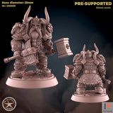 Royal Dwarf Miniature | D - Tabletop RPG & D&D miniature. Perfect for wargaming & collectors