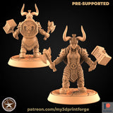 Royal Female Dwarf Miniature | E - Tabletop RPG & D&D miniature. Perfect for wargaming & collectors
