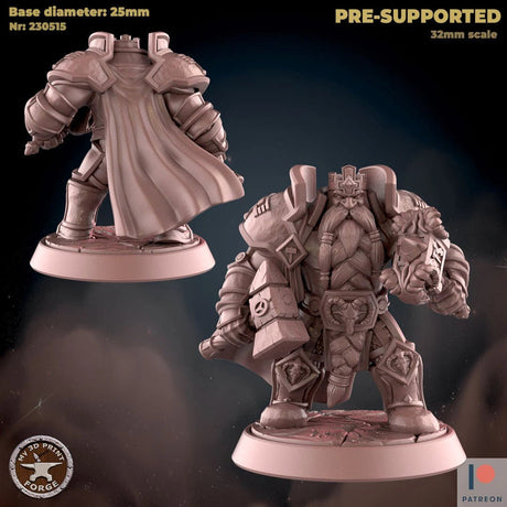 Royal King Dwarf Miniature | B - Tabletop RPG & D&D miniature. Perfect for wargaming & collectors
