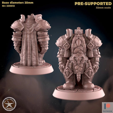 Royal King Dwarf Miniature | C - Tabletop RPG & D&D miniature. Perfect for wargaming & collectors