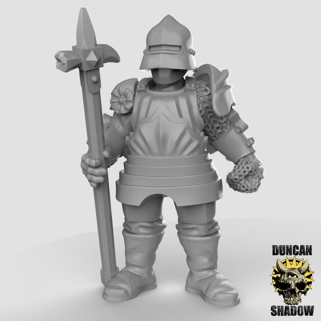 Royal Knight Guard minaiture | Left - Tabletop RPG & D&D miniature. Perfect for wargaming & collectors