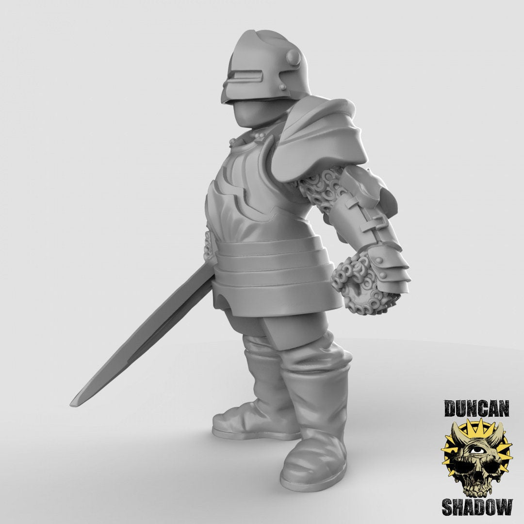 Royal Knight, Knight, Guardmen Miniature | Middle - Tabletop RPG & D&D miniature. Perfect for wargaming & collectors