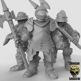 Royal Knight Miniature | Set of 3 - Tabletop RPG & D&D miniature. Perfect for wargaming & collectors