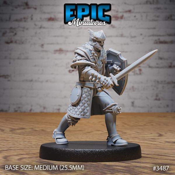 Royal Knight, Paladin Miniature | 3487 - Tabletop RPG & D&D miniature. Perfect for wargaming & collectors