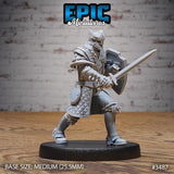 Royal Knight, Paladin Miniature | 3487 - Tabletop RPG & D&D miniature. Perfect for wargaming & collectors