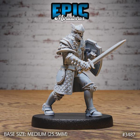 Royal Knight, Paladin Miniature | 3487 - Tabletop RPG & D&D miniature. Perfect for wargaming & collectors