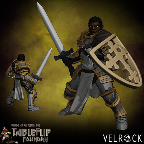 Sanctuary Heroes player Miniature | A - Tabletop RPG & D&D miniature. Perfect for wargaming & collectors