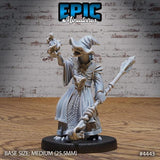 Serpent Mage, Rogue, Wizard Miniature | 4443 - Tabletop RPG & D&D miniature. Perfect for wargaming & collectors