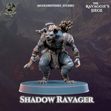 Shadow Ravagers Miniature | C - Tabletop RPG & D&D miniature. Perfect for wargaming & collectors