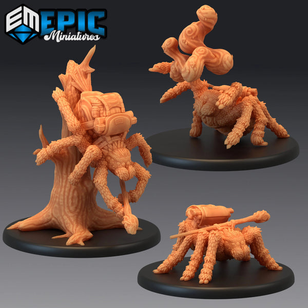 Spider Adventurer Miniature | Set of 3 - Tabletop RPG & D&D miniature. Perfect for wargaming & collectors