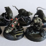 The Giant Plague Rat Miniature | Plague Rat 1 - Tabletop RPG & D&D miniature. Perfect for wargaming & collectors