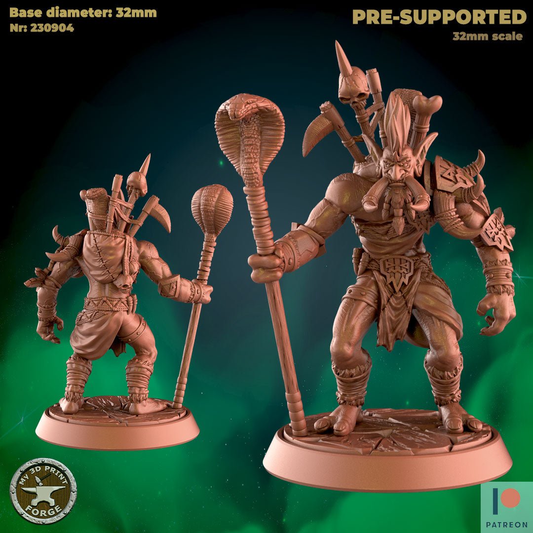 Troll Warlock Cleric Set 2 Miniature | C - Tabletop RPG & D&D miniature. Perfect for wargaming & collectors