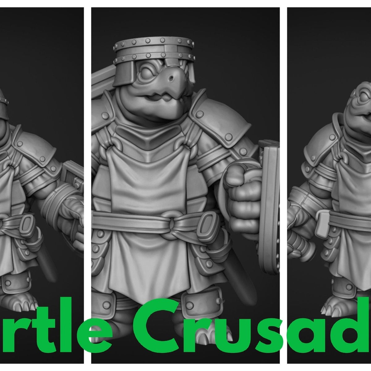 Turtle Folk Paladin Set 2 Miniature | Animalfolk Holy Warrior for D&D ...
