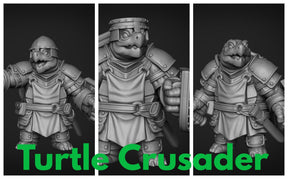 Turtle Folk Paladin Set 2 Miniature | Set of 3 - Tabletop RPG & D&D miniature. Perfect for wargaming & collectors