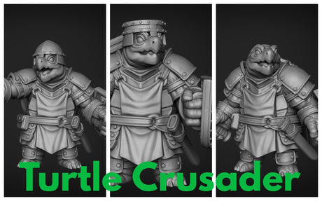 Turtle Folk Paladin Set 2 Miniature | Set of 3 - Tabletop RPG & D&D miniature. Perfect for wargaming & collectors