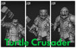 Turtle Folk Paladin Set 5 Miniature | Set of 3 - Tabletop RPG & D&D miniature. Perfect for wargaming & collectors