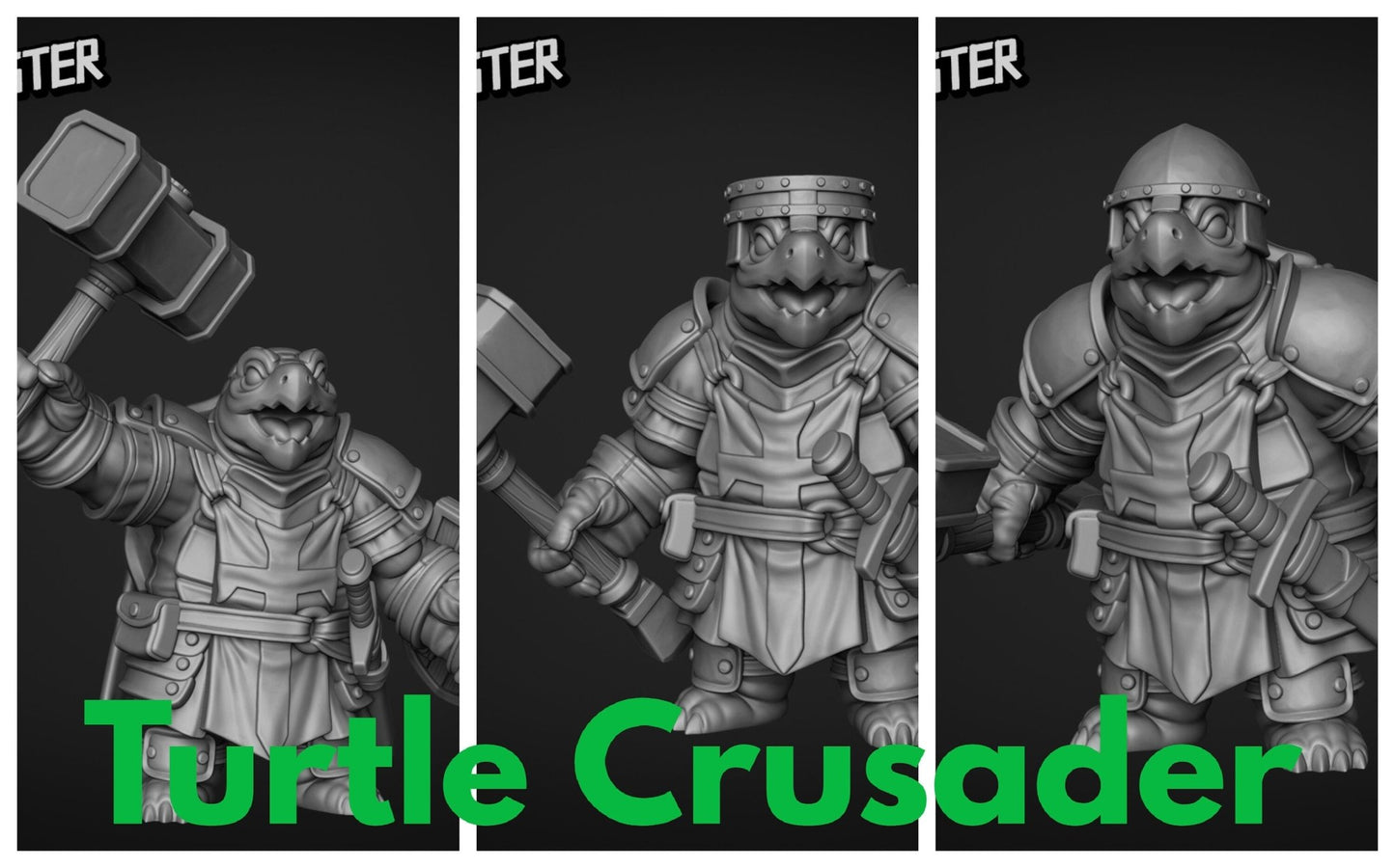 Turtle Folk Paladin Miniature - Set of 3 - 28mm