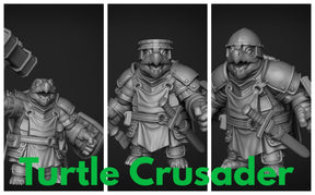 Turtle Folk Paladin Set 4 Miniature | Set of 3 - Tabletop RPG & D&D miniature. Perfect for wargaming & collectors