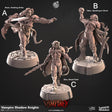 Vampires ,Shadow Knight Miniature | A - Tabletop RPG & D&D miniature. Perfect for wargaming & collectors