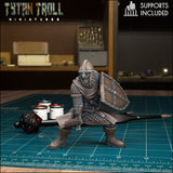 Warriors Guards Warrior Guard Miniature | H - Tabletop RPG & D&D miniature. Perfect for wargaming & collectors