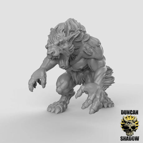 Werewolf Set 1 Miniature | A - Tabletop RPG & D&D miniature. Perfect for wargaming & collectors