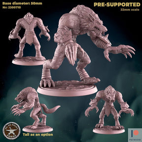 Werewolf Female Male 2 Miniature | A - Tabletop RPG & D&D miniature. Perfect for wargaming & collectors