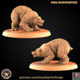Wild Bear Miniature | B - Tabletop RPG & D&D miniature. Perfect for wargaming & collectors