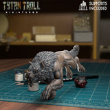 Wolf Bundle Miniature | C - Tabletop RPG & D&D miniature. Perfect for wargaming & collectors