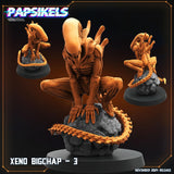 Xeno Bigchap Miniature | Xeno Bigchap 3 - Tabletop RPG & D&D miniature. Perfect for wargaming & collectors