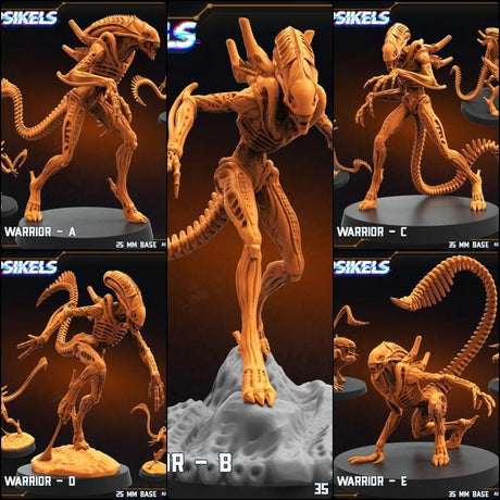 Xeno Warriors Miniature | Xeno Warrior A - Tabletop RPG & D&D miniature. Perfect for wargaming & collectors