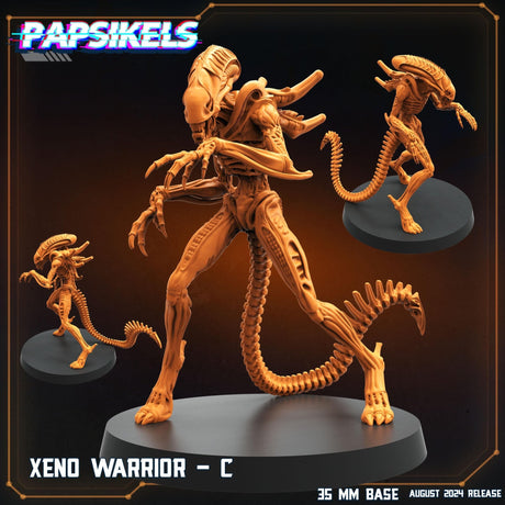Xeno Warriors Miniature | Xeno Warrior C - Tabletop RPG & D&D miniature. Perfect for wargaming & collectors